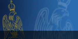 Fond - Aigle bleu